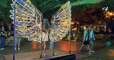 Экскурсия из Севастополя: Летний вечер в Ялте фото 16168 Экскурсия из Севастополя: Летний вечер в Ялте фото 16168