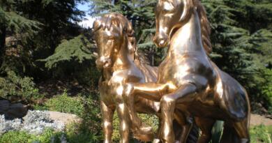 Авто-пешеходная экскурсия из Севастополя (фото 7)