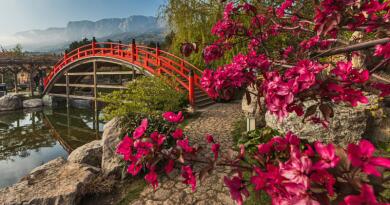 Экскурсии в `Японский сад "Шесть чувств" в отеле "Мрия"` из Береговое (бывший Кастрополь)