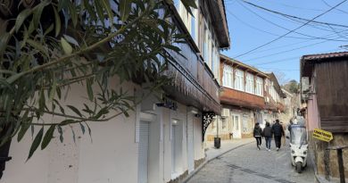 Авто-пешеходная экскурсия из Севастополя (фото 14)