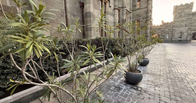 Авто-пешеходная экскурсия из Севастополя (фото 27)